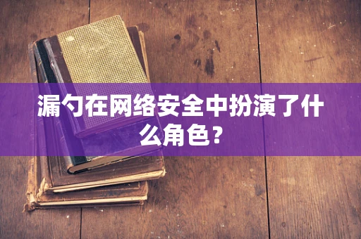 漏勺在网络安全中扮演了什么角色？