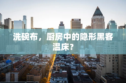 洗碗布，厨房中的隐形黑客温床？