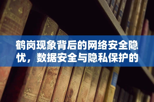 鹤岗现象背后的网络安全隐忧，数据安全与隐私保护的挑战