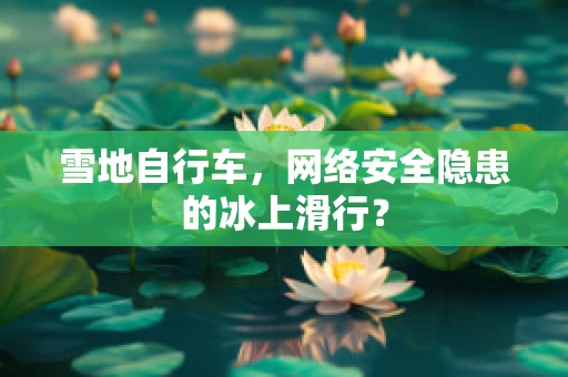 雪地自行车，网络安全隐患的冰上滑行？