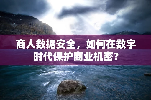 商人数据安全，如何在数字时代保护商业机密？