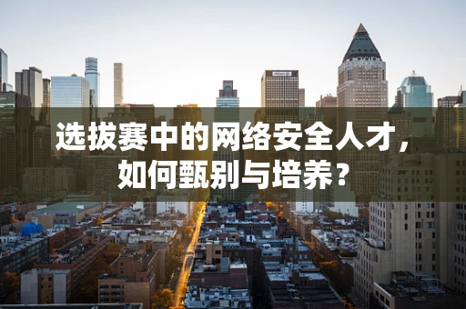 选拔赛中的网络安全人才，如何甄别与培养？