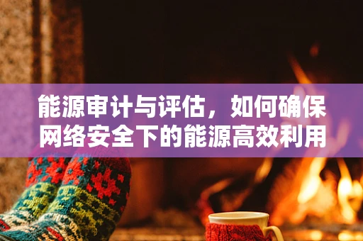 能源审计与评估，如何确保网络安全下的能源高效利用？