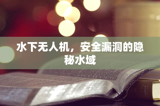 水下无人机，安全漏洞的隐秘水域