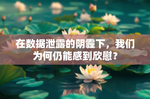 在数据泄露的阴霾下，我们为何仍能感到欣慰？