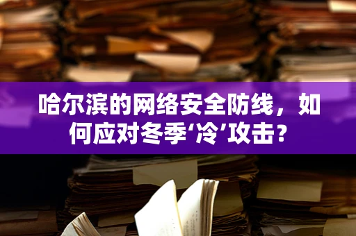 哈尔滨的网络安全防线，如何应对冬季‘冷’攻击？