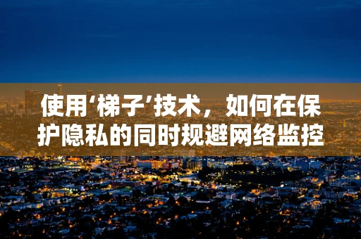 使用‘梯子’技术，如何在保护隐私的同时规避网络监控？