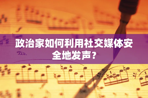 政治家如何利用社交媒体安全地发声？