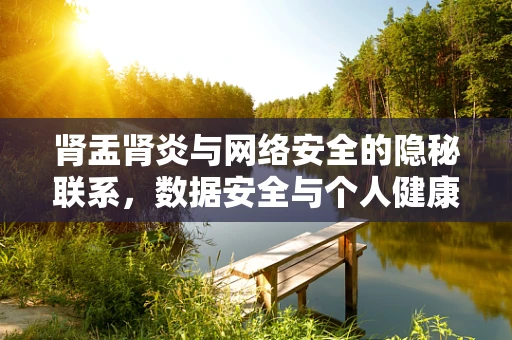 肾盂肾炎与网络安全的隐秘联系，数据安全与个人健康的双重防线