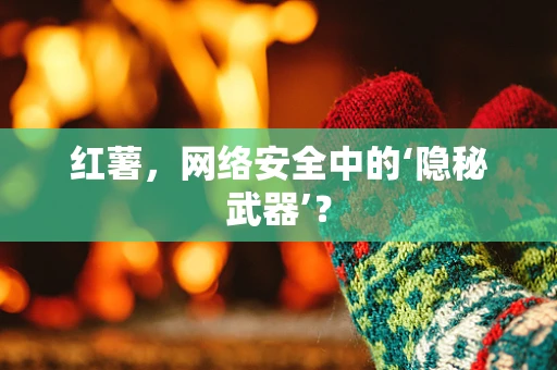 红薯，网络安全中的‘隐秘武器’？