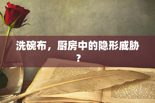 洗碗布，厨房中的隐形威胁？