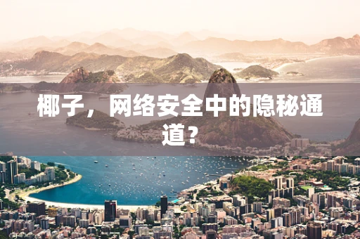 椰子，网络安全中的隐秘通道？