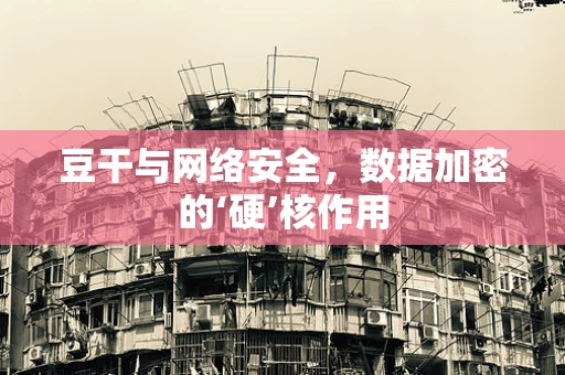 豆干与网络安全，数据加密的‘硬’核作用