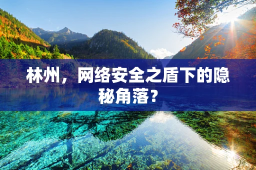 林州，网络安全之盾下的隐秘角落？