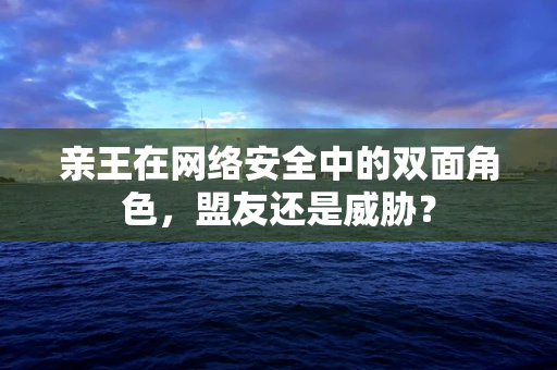 亲王在网络安全中的双面角色，盟友还是威胁？
