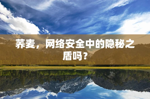 荞麦，网络安全中的隐秘之盾吗？