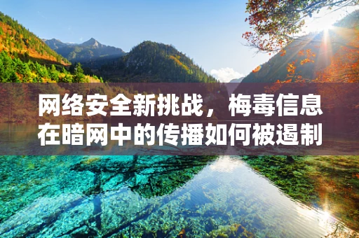 网络安全新挑战，梅毒信息在暗网中的传播如何被遏制？
