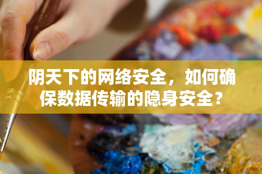 阴天下的网络安全，如何确保数据传输的隐身安全？