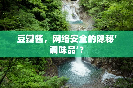 豆瓣酱，网络安全的隐秘‘调味品’？