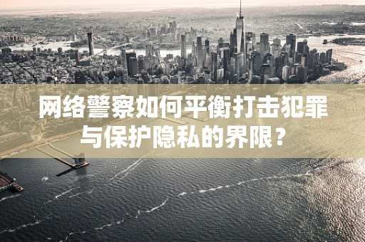 网络警察如何平衡打击犯罪与保护隐私的界限？