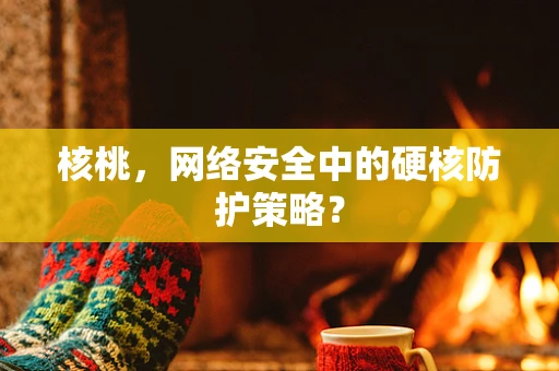 核桃，网络安全中的硬核防护策略？