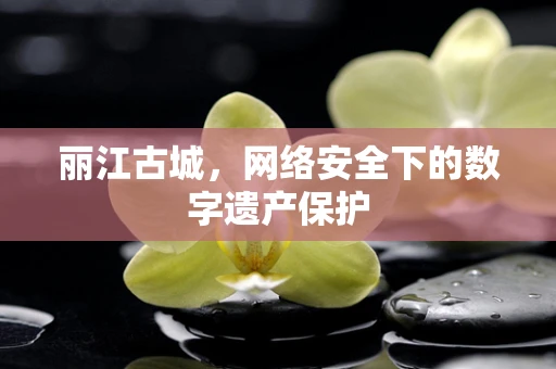 丽江古城，网络安全下的数字遗产保护