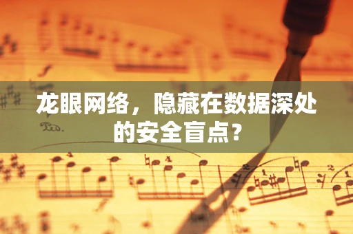 龙眼网络，隐藏在数据深处的安全盲点？