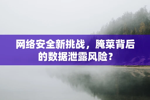 网络安全新挑战，腌菜背后的数据泄露风险？
