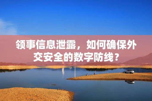 领事信息泄露，如何确保外交安全的数字防线？