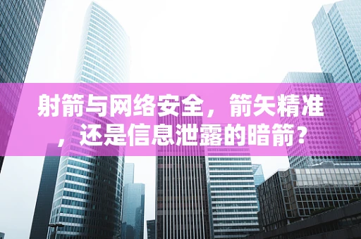 射箭与网络安全，箭矢精准，还是信息泄露的暗箭？