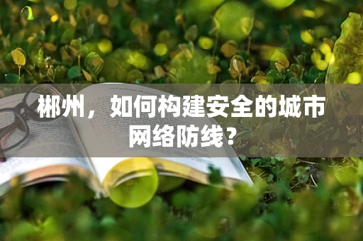 郴州，如何构建安全的城市网络防线？