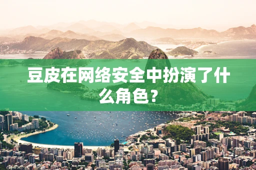 豆皮在网络安全中扮演了什么角色？