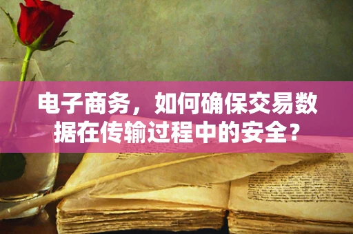电子商务，如何确保交易数据在传输过程中的安全？