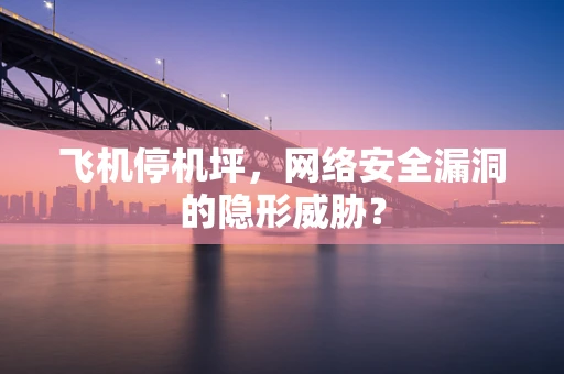 飞机停机坪，网络安全漏洞的隐形威胁？