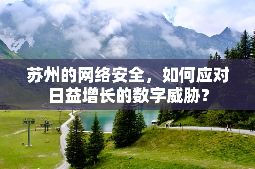 苏州的网络安全，如何应对日益增长的数字威胁？