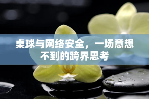 桌球与网络安全，一场意想不到的跨界思考
