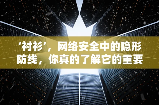 ‘衬衫’，网络安全中的隐形防线，你真的了解它的重要性吗？