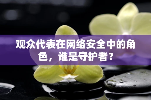 观众代表在网络安全中的角色，谁是守护者？