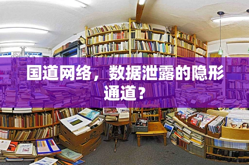 国道网络，数据泄露的隐形通道？