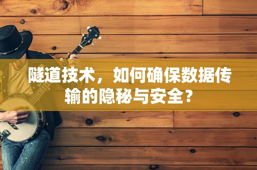隧道技术，如何确保数据传输的隐秘与安全？