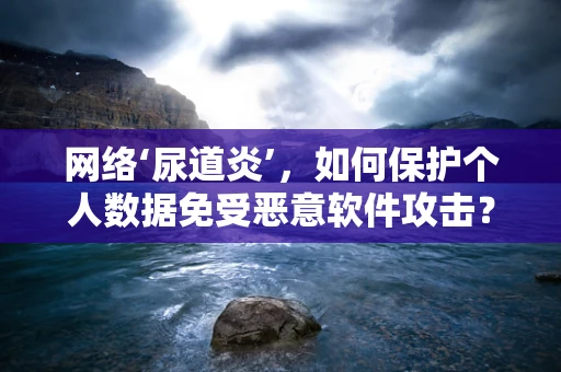 网络‘尿道炎’，如何保护个人数据免受恶意软件攻击？