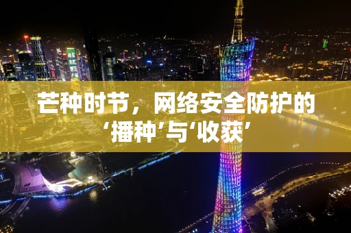 芒种时节，网络安全防护的‘播种’与‘收获’