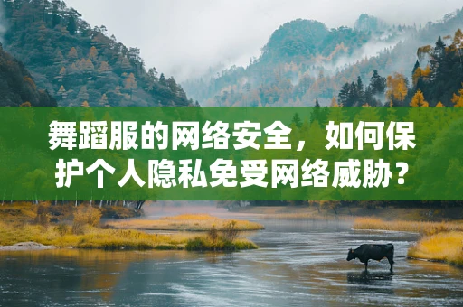 舞蹈服的网络安全，如何保护个人隐私免受网络威胁？