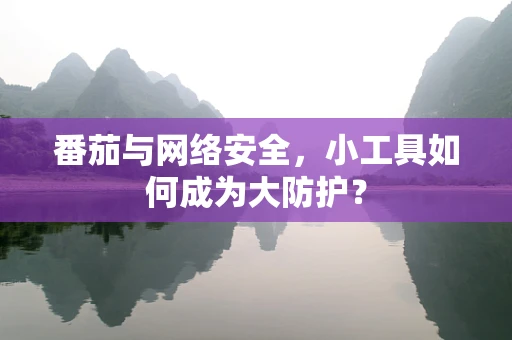 番茄与网络安全，小工具如何成为大防护？