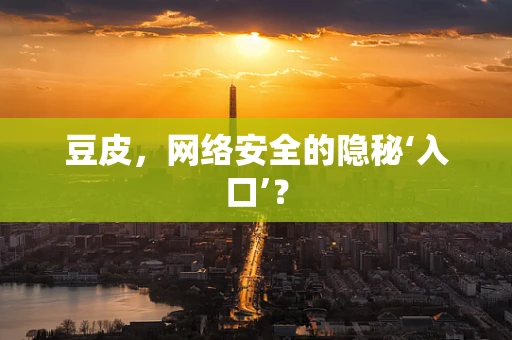 豆皮，网络安全的隐秘‘入口’？