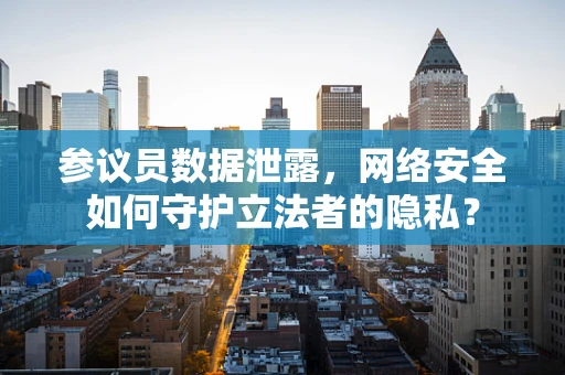 参议员数据泄露，网络安全如何守护立法者的隐私？