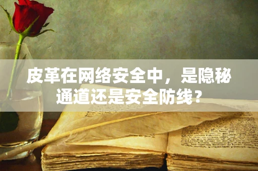皮革在网络安全中，是隐秘通道还是安全防线？