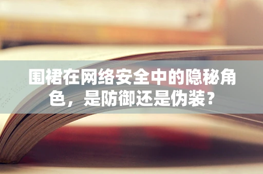 围裙在网络安全中的隐秘角色，是防御还是伪装？