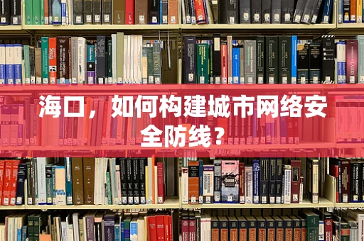 海口，如何构建城市网络安全防线？