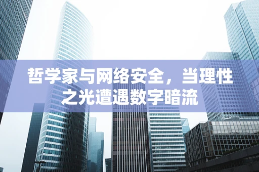哲学家与网络安全，当理性之光遭遇数字暗流